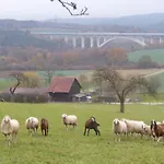 Mueller's Rödental